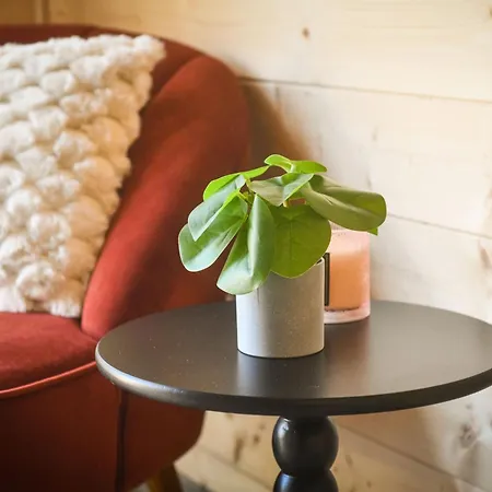 Le Filet Tendu Apartament Marmoutier